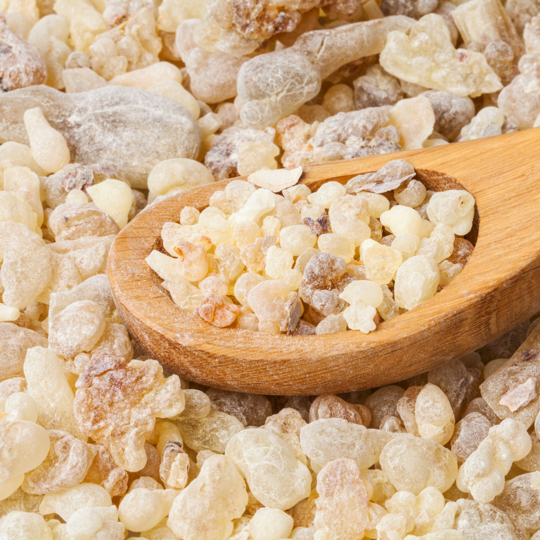 Pieces of frankincense on spoon.