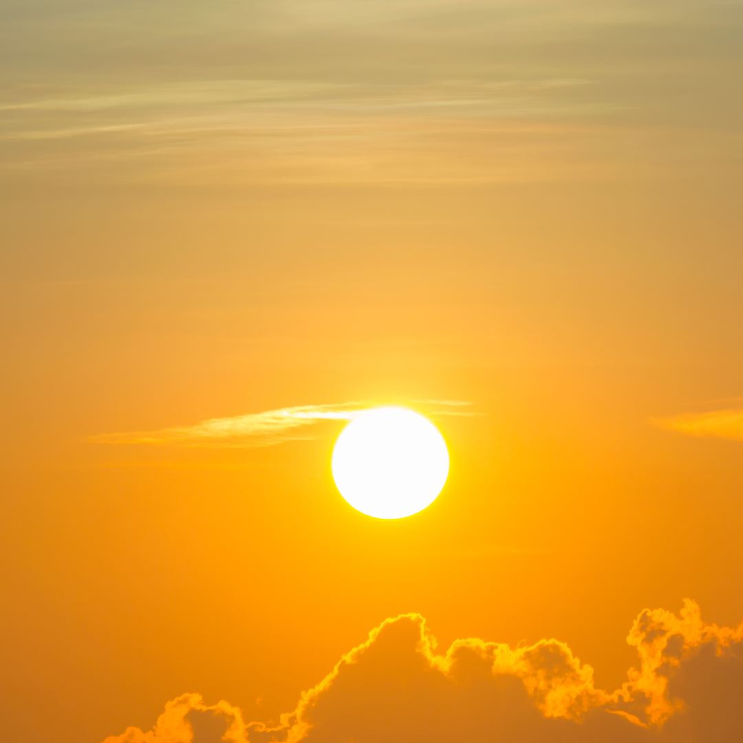 image of the sun