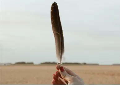 Feather